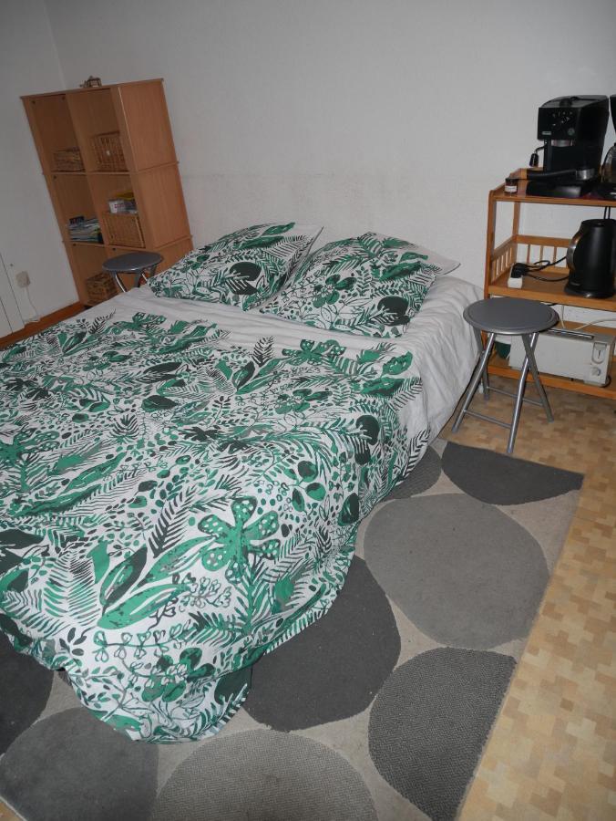 Cauterets: Studio 4 Personnes Idealement Situe. Ngoại thất bức ảnh